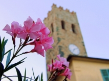 inselzeitreisen_cinque_terre_bluete_kl