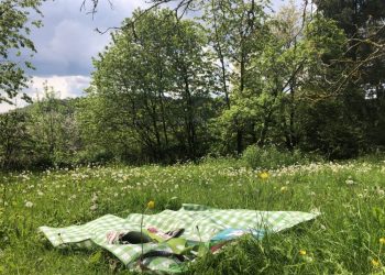 reise_workshop1-scaled