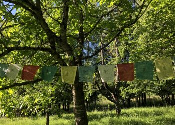 reise_workshop3-scaled