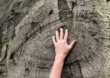 reise_workshop4-scaled