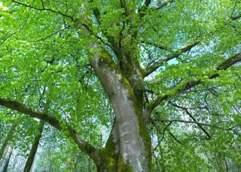 reise_workshop7-scaled