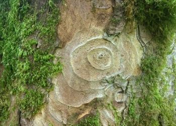 reise_workshop8-scaled