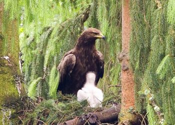 reisen_malafatra1-e1739974860389