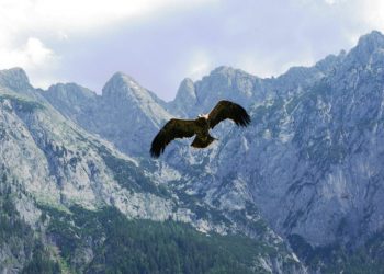 reisen_malafatra5-scaled-e1739974816799