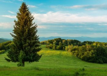 reisen_malafatra8-scaled-e1739974773294