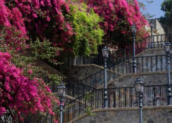 Reise_sorrent8-scaled-e1740590661235