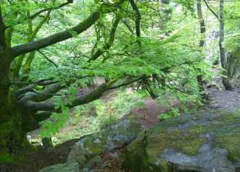 header_selbstzeitwege