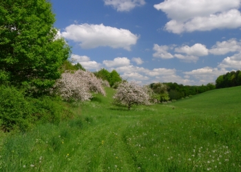 inselzeitreisen_fruehling