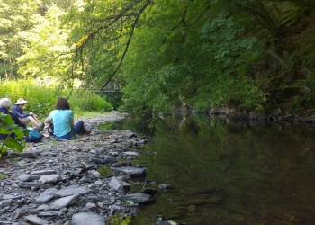 Eifel_Mittagspause22