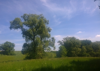 Eifel_zur-Wolfsschlucht12