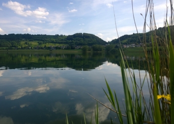 Eifel_Meerfelder-Maar14