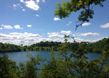 Eifel_Weinfelder-Maar25