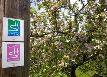 inselzeitreisen_Apfelbluete