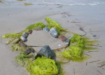 reise_yoga_ostsee6-scaled-e1739958799889