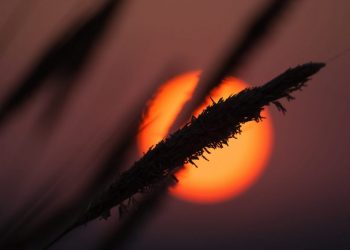 reise_yoga_ostsee7-scaled-e1739958785225